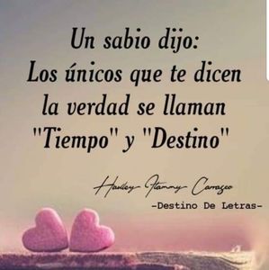 Meet your Posher, Alexander